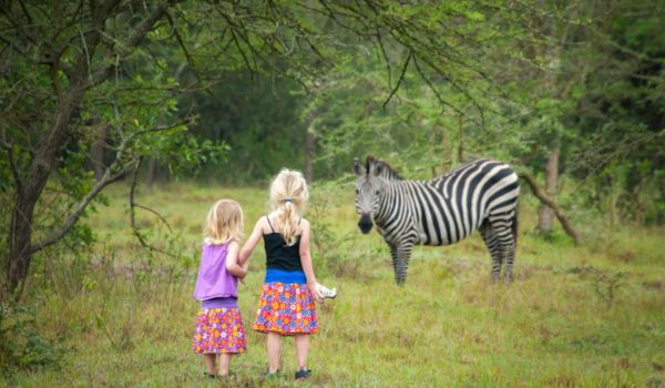 Two girls showing their toys to zebra in safari park