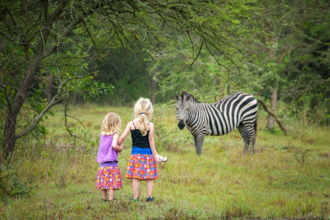 Two girls showing their toys to zebra in safari park