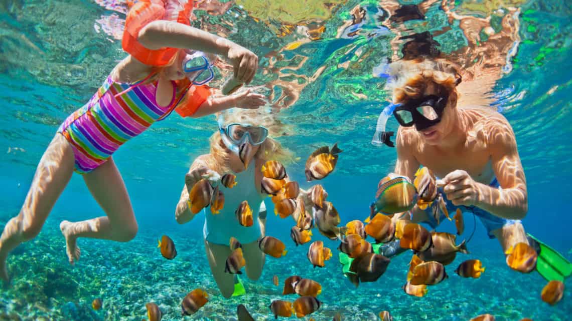 Family with mother father and daughter, snorkeling underwater with tropical fishes in coral reef sea pool wearing masks