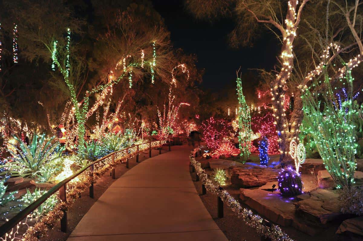 Ethel Cactus Garden Christmas 2022 Ethel M Chocolate Light The Night Spectacular - Totochie