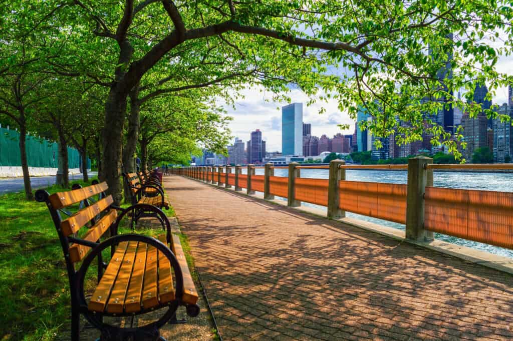 Park bench at the East River in New York during summer
