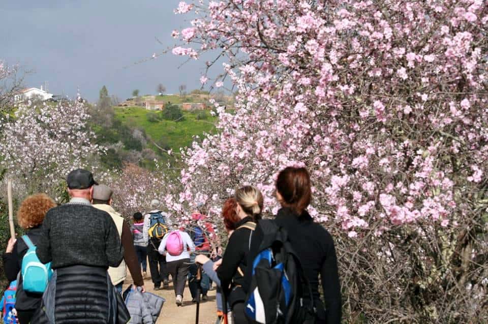 Almond Blossom Festival, Torre de Moncorvo
