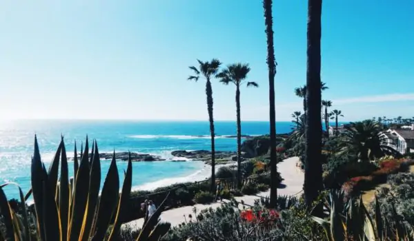 los-cabos-mexico-agave-beach-cactus